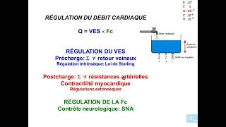 11  Physiologie cardio vasculaire partie 11 [upl. by Oza231]