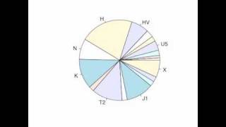 Changing mtDNA haplogroup frequencies through European prehistory [upl. by Gregorius345]