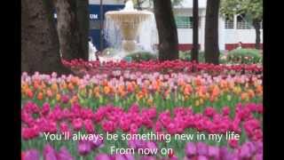 Something New In My Life  with Lyrics  Stephen Bishop [upl. by Jehovah]