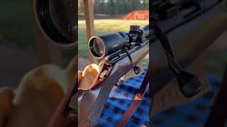 Savage B22 Bolt Action Rifle Guns [upl. by Aderb3]