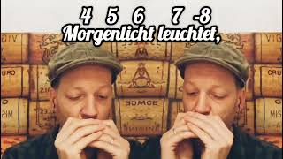 Morning Has Broken  Morgenlicht Leuchtet  Harmonica Tabs [upl. by Katharina]