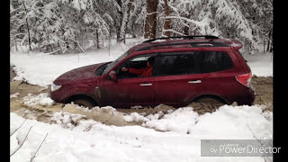 Subaru Tribeca B9 amp Subaru Forester на тропе в бездорожье Subaru subaruforester [upl. by Ranee475]