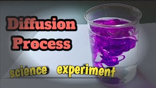 BongMistry The Ultimate Diffusion Experiment [upl. by Barsky]