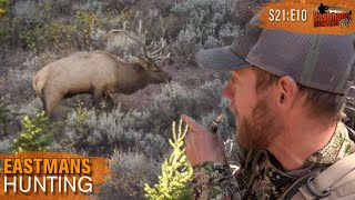 Bow Hunting Public Land Elk Eastmans Hunting Journals [upl. by Tamar]