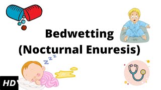 Bedwetting Nocturnal enuresis Causes SIgns and Symptoms Diagnosis and Treatment [upl. by Brote471]