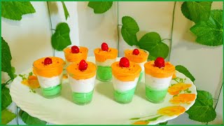 Tricolor Recipe  Chocolate Mousse  Republic day special dessert  Independence day special dessert [upl. by Gorrono]