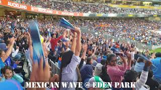 Biggest Mexican Wave in Auckland New Zealand  India vs Black Caps [upl. by Shelbi]