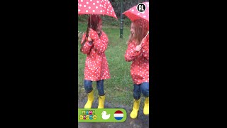 HERFST  Kinderliedjes  Liedjes voor Peuters en Kleuters  In het Bos  Minidisco shorts [upl. by Droffilc327]