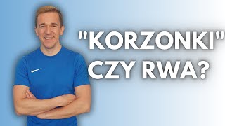 CO TO SA KORZONKI bóle kręgosłupa lędźwiowego [upl. by Quinn891]