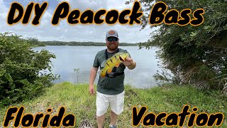 Catching Peacock Bass In Fort Lauderdale Florida [upl. by Anaoy]