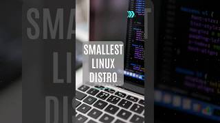 Smallest Linux Distro linux [upl. by Tannie]