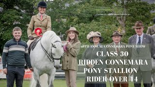 Class Thirty Ridden Connemara Pony Stallion  98th Annual Connemara Pony Show [upl. by Ennovyhs]