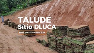 COLOCAÇÃO DA GRAMA ESMERALDA NO TALUDE [upl. by Yrtneg]