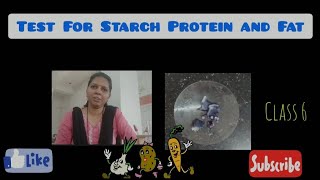 Test For Starch Protein and Fats  Class 6 Science  MilanPatilscimatichub [upl. by Htidra693]