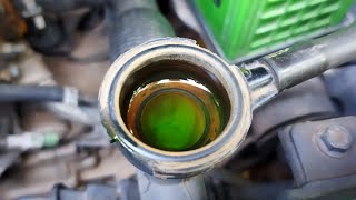 How to change ALTO 800 Coolant at home [upl. by Strauss]