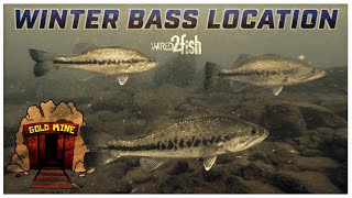 Where Bass Go in the Winter and When to Fish Them [upl. by Einiar]