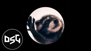 PEDRO PEDRO PEDRO DUBSTEP REMIX  Dancing Raccoon Song [upl. by Brandice]