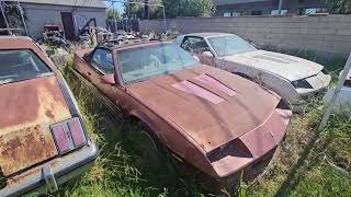 Old school muscle cars barn find Chevelles Impala camaros [upl. by Reube]