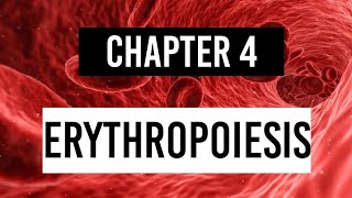 ERYTHROPOIESIS  Stages of erythropoiesis Physiology [upl. by Yenial]