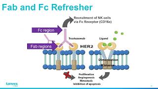 High throughput bioanalytical methods accelerate developmentevaluation of advanced biotherapeutics [upl. by Danae41]