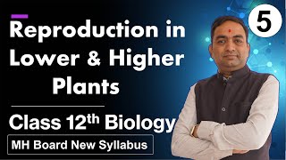 Reproduction in Lower and Higher Plants Class 12th Biology Part 5 [upl. by Laughry273]