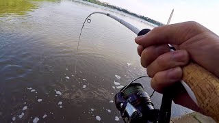 Kennebec River Fishing INTENSE [upl. by Lever]