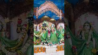 15 Oct 2024 Mayapur Radha Madhav darshan  Sri Sri Narsingh Dev  Sri Sri Panchatantralove  short [upl. by Junko]