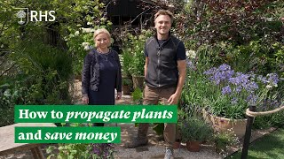 How to propagate plants and save money  The RHS [upl. by Narhet]