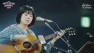 Kaneko Ayano  Emerald Acoustic  カネコアヤノ  エメラルド  LIVE 2024 [upl. by Rico]