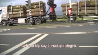 Boomstammen Transport Chris van der velden  Daf XF [upl. by Grindlay758]