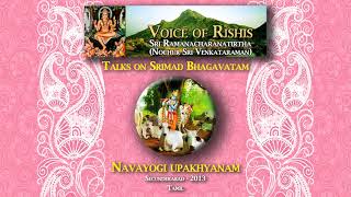 Bhagavatam Navayogi Upakhyanam Tamil [upl. by Ritter]