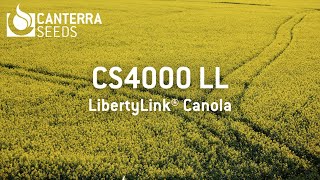 CS4000 LL LibertyLink® in Shaunavon Saskatchewan [upl. by Acimat115]