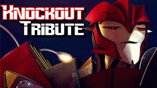 Knockout Tribute [upl. by Darlene]