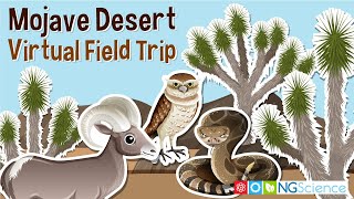 Mojave Desert – Virtual Field Trip [upl. by Fortunna245]