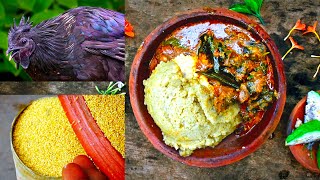 Foxtail Millet Rice with Kadaknath chicken Gravy  Thinai Sadam Kadaknath koli Kulambu [upl. by Salomi]