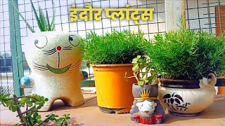 सुनील कुमार माली इंदौर प्लांट अंदर रखने वाला कमरा में [upl. by Welton304]