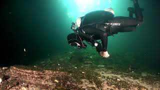 Diving in Cenote Calavera Tulum Mexico  Splendid Off the beaten path dive [upl. by Ardnuaek]