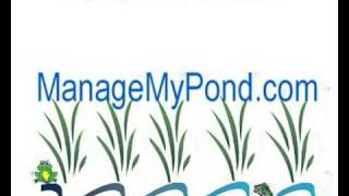 Pond Management How To Manage a Pond with Algae Weeds Muck [upl. by Franny719]