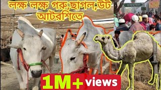 মহা পবিত্র বিশ্ব উরস আটরশি ২০২১ [upl. by Atok]