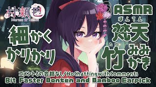 【ASMR】細かくカリカリ耳かき竹耳かき梵天Relaxing Bonten and Bamboo Ear Pick Ear Cleaning197【村瀬巴睡眠導入】 [upl. by Melosa]