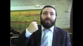 Yossef et Hanouka  Paracha Mikets par le Rav Dov Roth Lumbroso [upl. by Neelasor]