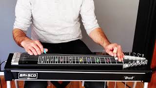 Danny Boy  Brisco Bud  Pedal Steel Guitar Cover [upl. by Ellennad]