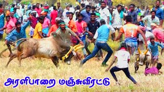 அரளிப்பாறை மஞ்சுவிரட்டு 2022 Mannar Media மன்னர் மீடியா [upl. by Azirb]