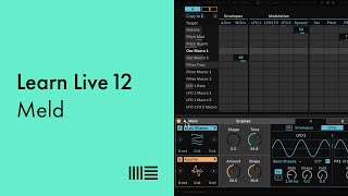 Learn Live 12 Meld [upl. by Zuzana]