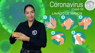 Recomendaciones Covid19 Coronavirus en LSC [upl. by Lyj]