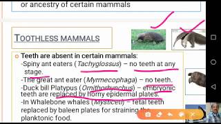 Dentition in Mammals [upl. by Ardnazil]