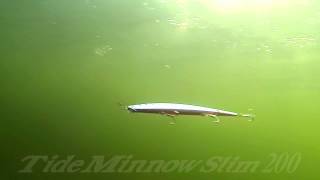 DUOs Lures in Motion 14 Tide Minnow Slim 200 [upl. by Tsnre]