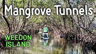 Weedon Island Mangrove Tunnels The Best Paddling Trails In Florida [upl. by Umberto952]