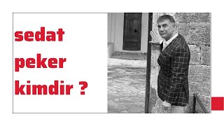 sedat peker kimdir  sedatpeker [upl. by Suisyola970]