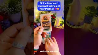 ❣️TAROT CARD READING❣️UNKI CURRENT FEELINGS❣️NO CONTACT LOVE TAROT🕯️CANDLE WAX READING shorts [upl. by Eilama]